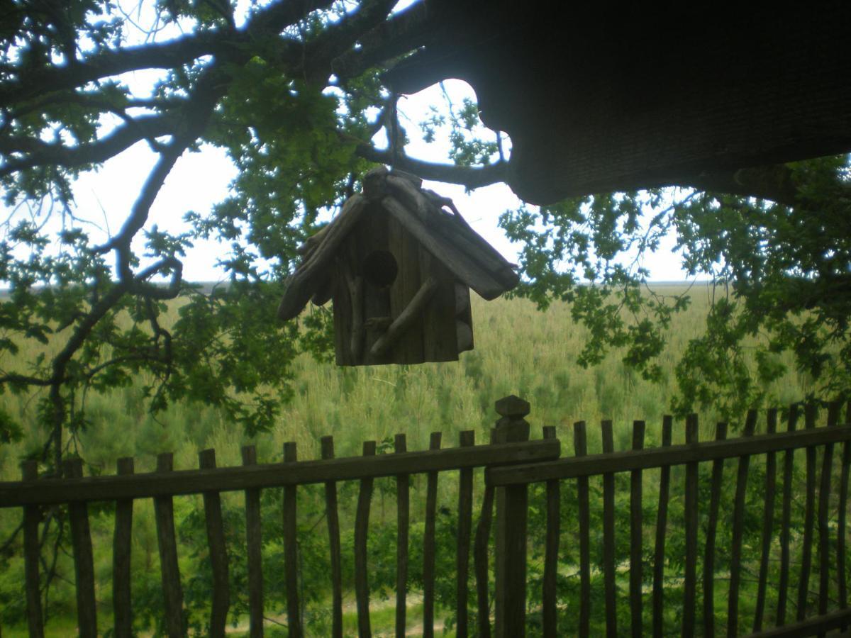 Cabane Perchee Solférino Dış mekan fotoğraf